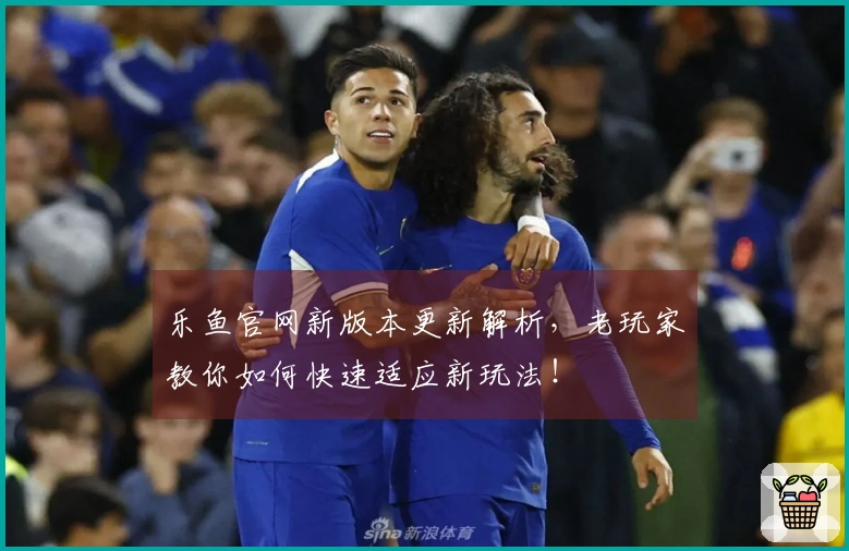 乐鱼官网新版本更新解析，老玩家教你如何快速适应新玩法！